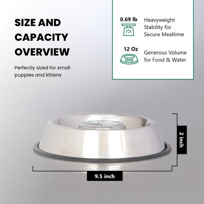 Image showing 5 th Iconic Pet Slow Feed Stainless Steel Pet Bowl for Dog or Cat, 1.5 Cups, 1 pk.