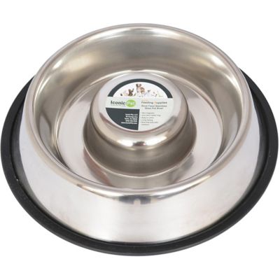 pet food bowl