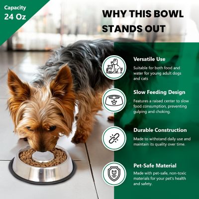 Image showing 5 th Iconic Pet 3-Cup Slow Feed Stainless Steel Pet Bowl