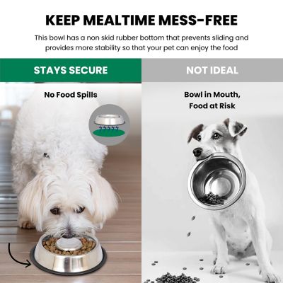 Image showing 6 th Iconic Pet 3-Cup Slow Feed Stainless Steel Pet Bowl