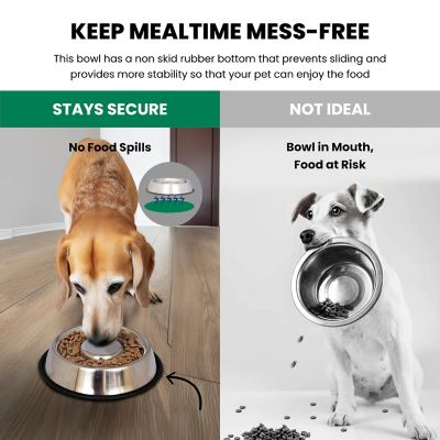 Image showing 5 th Iconic Pet 6-Cup Slow Feed Stainless Steel Pet Bowl
