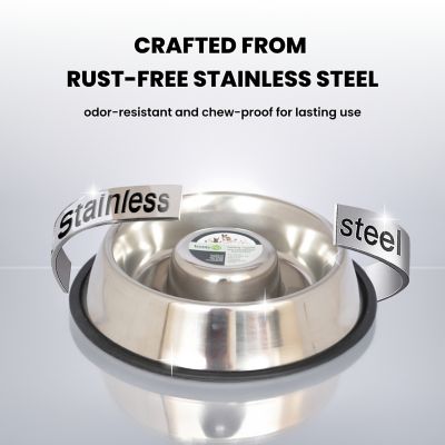 Image showing 6 th Iconic Pet 6-Cup Slow Feed Stainless Steel Pet Bowl