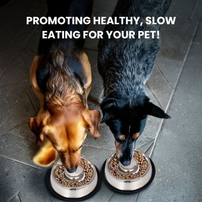 Image showing 7 th Iconic Pet 6-Cup Slow Feed Stainless Steel Pet Bowl