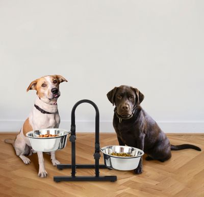 Image showing 9 th Iconic Pet 8-Cup U-Design Adjustable Elevated Stainless Steel Double Diner Dog Bowl Set