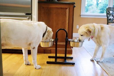 Image showing  20-Cup U-Design Adjustable Elevated Stainless Steel Double Diner Dog Bowl Set