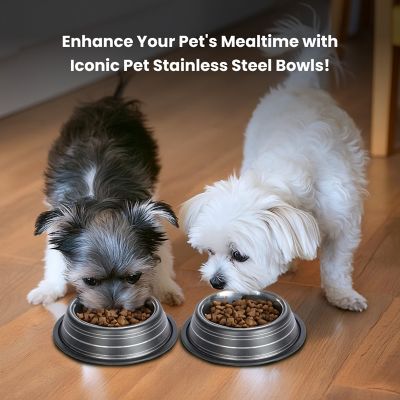 Image showing  Color Splash Stripe Non-Skid Stainless Steel Pet Bowl for Dog or Cat, 1-Pack, 92171