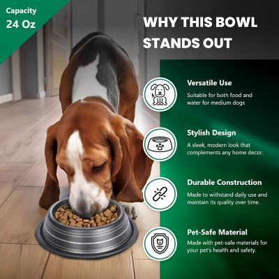 Image showing  Color Splash Stripe Non-Skid Stainless Steel Pet Bowl for Dog or Cat, 1 pk., 92173