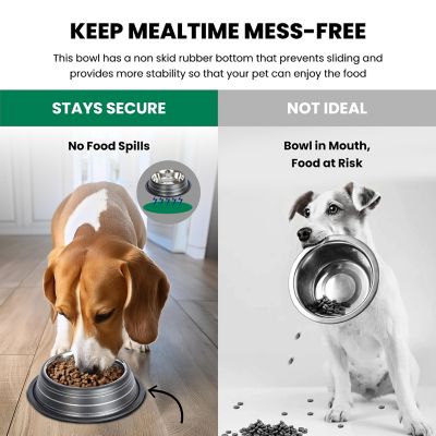 Image showing  Color Splash Stripe Non-Skid Stainless Steel Pet Bowl for Dog or Cat, 1 pk., 92173