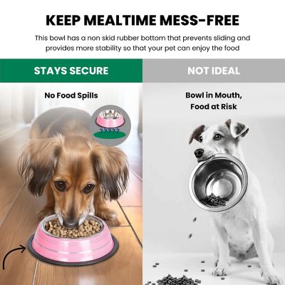 Image showing 4 th Iconic Pet Color Splash Stripe Non-Skid Stainless Steel Pet Bowl for Dog or Cat, 1-Pack, 92172