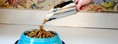 Image showing  Color Splash Stripe Non-Skid Stainless Steel Pet Bowl for Dog or Cat, 1-Pack, 92172