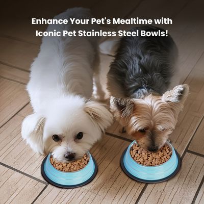 Image showing 6 th Iconic Pet Color Splash Stripe Non-Skid Stainless Steel Pet Bowl for Dog or Cat, 1-Pack, 92172