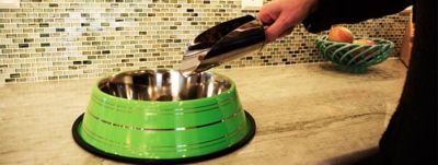 Image showing 1 th Iconic Pet Color Splash Stripe Non-Skid Stainless Steel Pet Bowl for Dog or Cat, 1-Pack, 92172