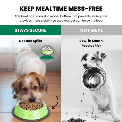 Image showing 4 th Iconic Pet Color Splash Stripe Non-Skid Stainless Steel Pet Bowl for Dog or Cat, 1-Pack, 92172