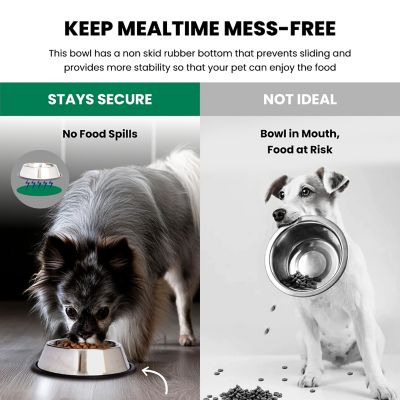 Image showing 6 th Iconic Pet Non-Skid Stainless Steel Pet Bowls, 3 Cups, 2 ct.