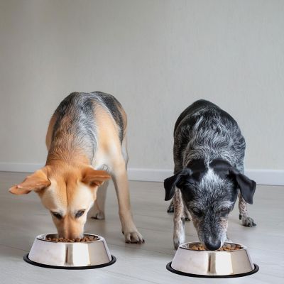 Image showing 8 th Iconic Pet Non-Skid Stainless Steel Pet Bowls, 3 Cups, 2 ct.
