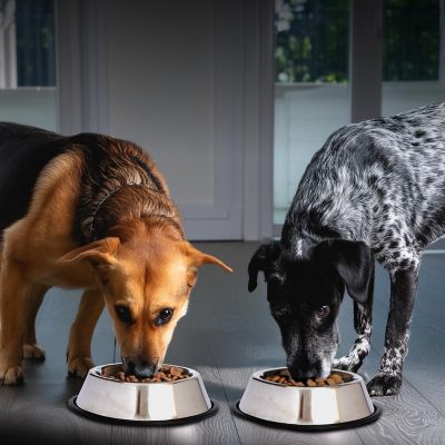 Image showing 7 th Iconic Pet Non-Skid Stainless Steel Pet Bowls, 4 Cups, 2 ct.