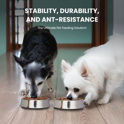 Image showing 7 th Iconic Pet Anti-Ant Non-Skid Stainless Steel Pet Bowl for Dog or Cat, 2 Cups, 2-Bowls