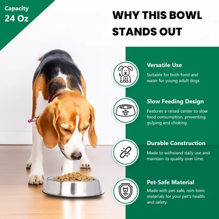 Iconic Pet Non-Slip Stainless Steel Dog or Cat Bowl 3 Cups 2 Bowls Double Diners