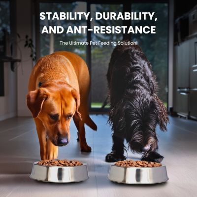 Image showing 5 th Iconic Pet Anti-Ant Non-Skid Stainless Steel Pet Bowl for Dog or Cat, 4 Cups, 2-Bowls