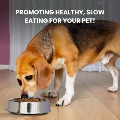 Image showing 6 th Iconic Pet Anti-Ant Non-Skid Stainless Steel Pet Bowl for Dog or Cat, 4 Cups, 2-Bowls