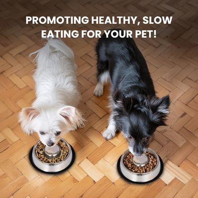 Image showing  3-Cup Slow Feed Stainless Steel Pet Bowls, 2-Pack