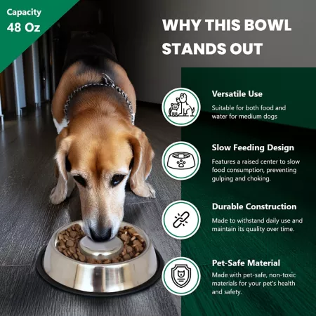 Iconic Pet Stainless Steel Slow Feed Dog or Cat Bowls 6 Cups 2 Bowls Slow & Puzzle Feeders