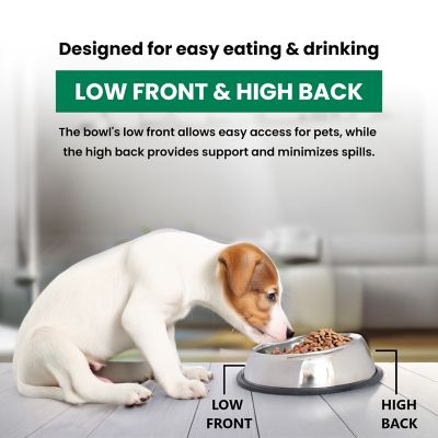 Image showing 6 th Iconic Pet Heavy Weight Non-Skid Easy Feed High Back Stainless Steel Pet Bowls for Dog or Cat, 1 Cup, 2-Bowls