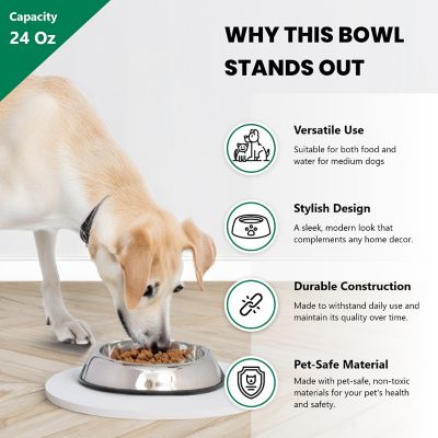 Image showing  Heavy Weight Non-Skid Easy Feed High Back Stainless Steel Pet Bowls for Dog or Cat, 3 Cups, 2-Bowls