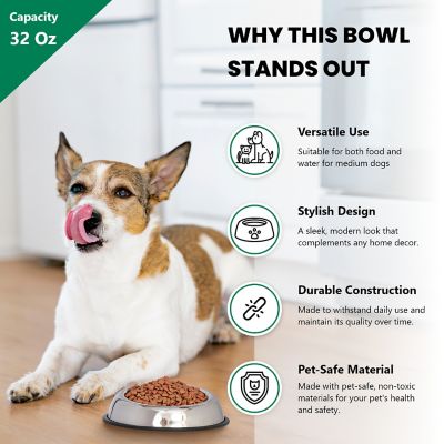 Image showing  Heavy Weight Non-Skid Easy Feed High Back Stainless Steel Pet Bowls for Dog or Cat, 4 Cups, 2-Bowls