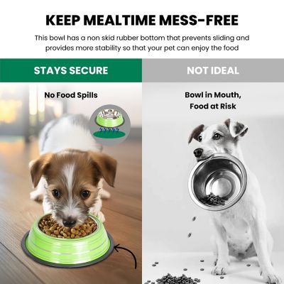 Image showing  Color Splash Stripe Non-Skid Stainless Steel Pet Bowls for Dog or Cat, 2-Bowls, 51465