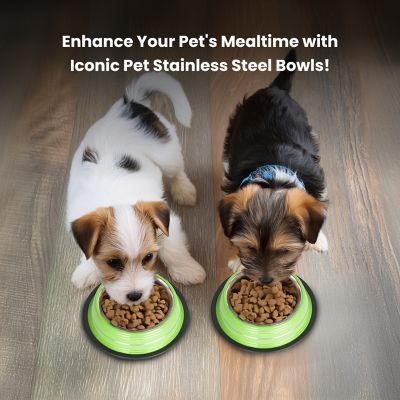 Image showing  Color Splash Stripe Non-Skid Stainless Steel Pet Bowls for Dog or Cat, 2-Bowls, 51465