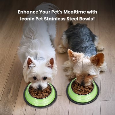Image showing  Color Splash Stripe Non-Skid Stainless Steel Pet Bowls for Dog or Cat, 2-Bowls, 51466