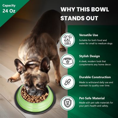 Image showing  Color Splash Stripe Non-Skid Stainless Steel Pet Bowls for Dog or Cat, 2-Bowls, 51467
