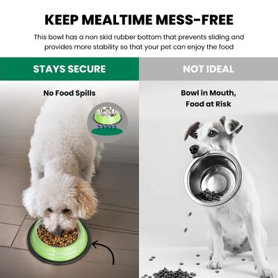 Image showing  Color Splash Stripe Non-Skid Stainless Steel Pet Bowls for Dog or Cat, 2-Bowls, 51467