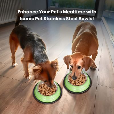 Image showing  Color Splash Stripe Non-Skid Stainless Steel Pet Bowls for Dog or Cat, 2-Bowls, 51467