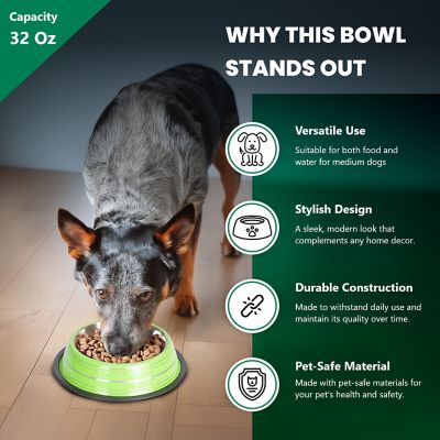 Image showing  Color Splash Stripe Non-Skid Stainless Steel Pet Bowls for Dog or Cat, 2-Bowls
