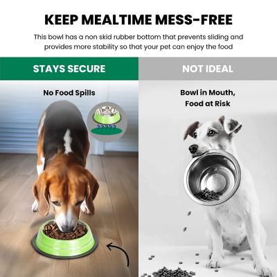 Image showing  Color Splash Stripe Non-Skid Stainless Steel Pet Bowls for Dog or Cat, 2-Bowls