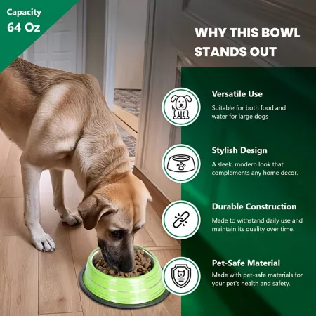 Iconic Pet Color Splash Stripe Non-Slip Stainless Steel Dog or Cat Bowls 2 Bowls 51469 Double Diners