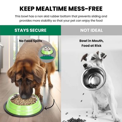 Image showing  Color Splash Stripe Non-Skid Stainless Steel Pet Bowls for Dog or Cat, 2-Bowls, 51469