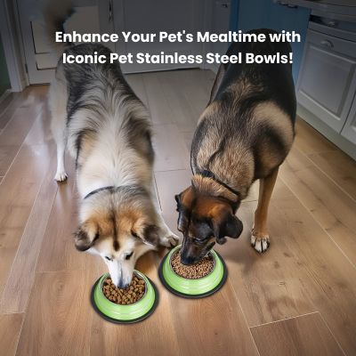 Image showing  Color Splash Stripe Non-Skid Stainless Steel Pet Bowls for Dog or Cat, 2-Bowls, 51469