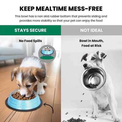 Image showing  Color Splash Stripe Non-Skid Stainless Steel Pet Bowls for Dog or Cat, 2-Bowls, 51465