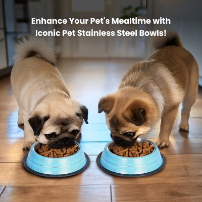 Image showing  Color Splash Stripe Non-Skid Stainless Steel Pet Bowls for Dog or Cat, 2-Bowls, 51465
