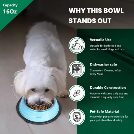 Iconic Pet Color Splash Stripe Non-Slip Stainless Steel Dog or Cat Bowls 2 Bowls 51466 Double Diners