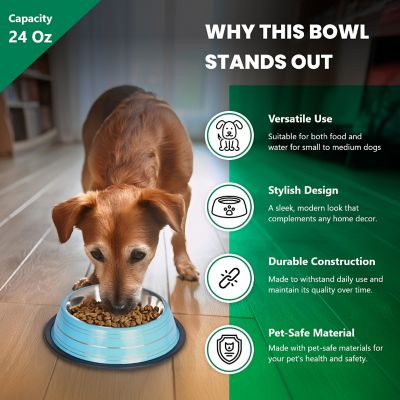 Image showing  Color Splash Stripe Non-Skid Stainless Steel Pet Bowls for Dog or Cat, 2-Bowls, 51467