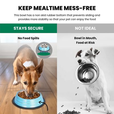 Image showing  Color Splash Stripe Non-Skid Stainless Steel Pet Bowls for Dog or Cat, 2-Bowls, 51467