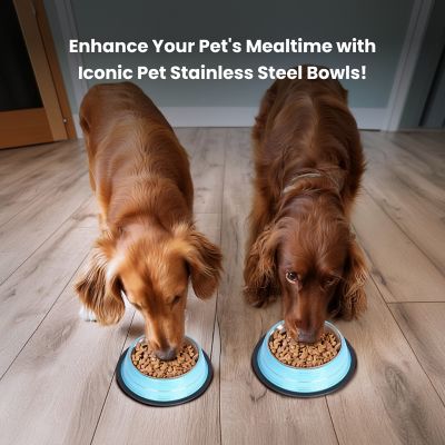 Image showing  Color Splash Stripe Non-Skid Stainless Steel Pet Bowls for Dog or Cat, 2-Bowls, 51467