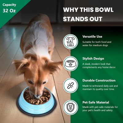 Image showing  Color Splash Stripe Non-Skid Stainless Steel Pet Bowls for Dog or Cat, 2-Bowls