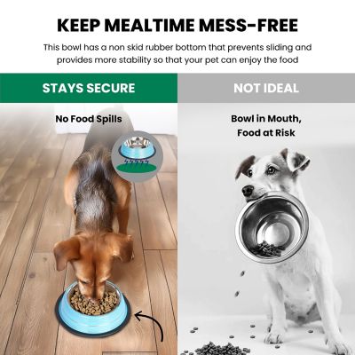 Image showing  Color Splash Stripe Non-Skid Stainless Steel Pet Bowls for Dog or Cat, 2-Bowls