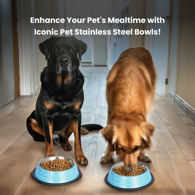 Image showing  Color Splash Stripe Non-Skid Stainless Steel Pet Bowls for Dog or Cat, 2-Bowls
