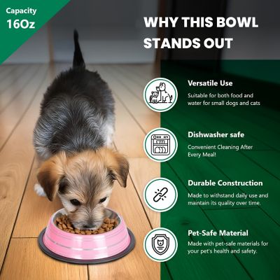 Image showing  Color Splash Stripe Non-Skid Stainless Steel Pet Bowls for Dog or Cat, 2-Bowls, 51466